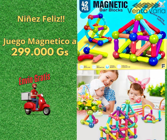 Juego Didactico Magnetico +3años